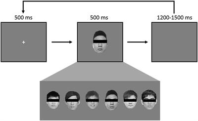 Functional blindsight and its diagnosis